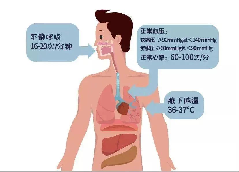 1740391458557255.jpg 心理健康-7.jpg